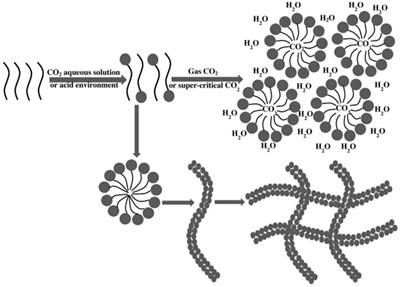 The application of CO2-responsive materials on enhanced oil recovery for fractured tight oil reservoirs